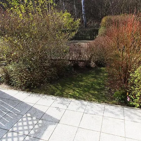 Waldblick Nr. 11